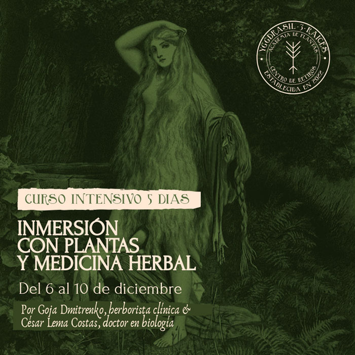 Curso Intensivo INVIERNO medicina herbal