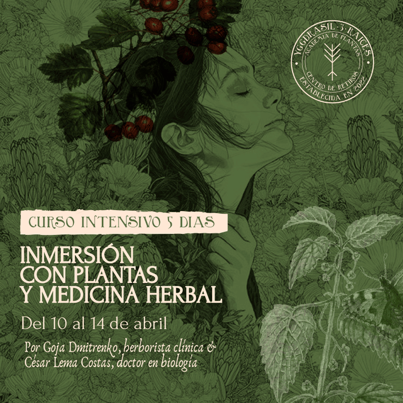 inmersion con plantas y medicina herbal - primavera 2024