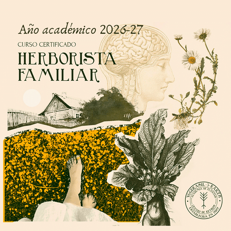 Portada para el curso de Herborismo Familiar del 2026.